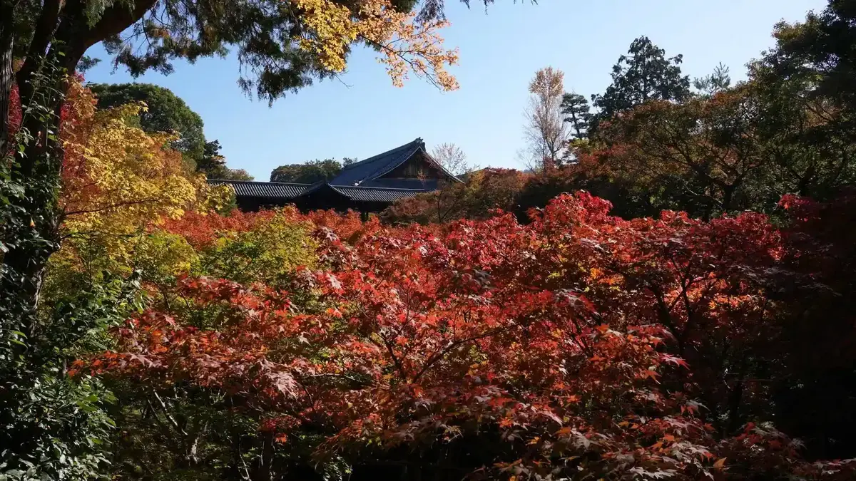 Autumn scenery at West Lake shore