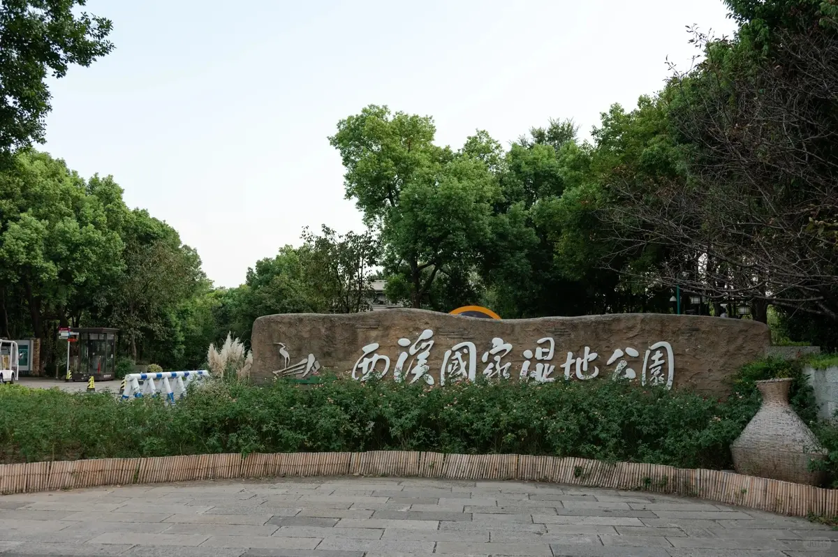 Xixi Wetland boat gliding through peaceful waterways and reeds
